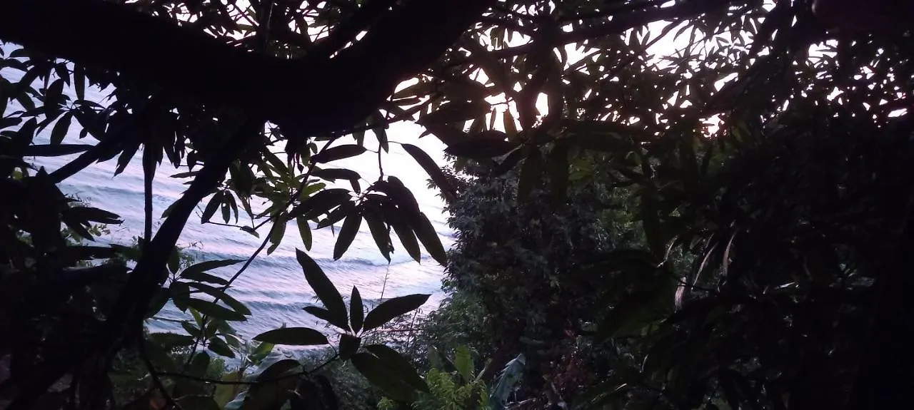 Treehouse Above The Beach Port Antonio Jamaica