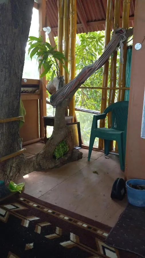 Lejlighed Treehouse Above The Beach Port Antonio Jamaica
