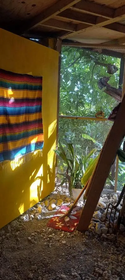 Treehouse Above The Beach Port Antonio