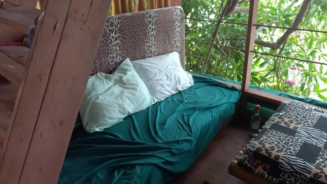 Treehouse Above The Beach Port Antonio Lejlighed