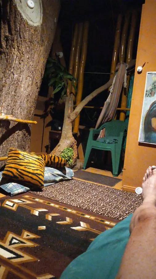 Lejlighed Treehouse Above The Beach Port Antonio