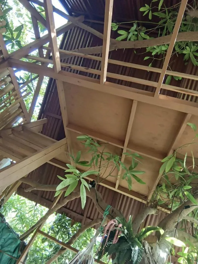 Treehouse Above The Beach Port Antonio Jamaica