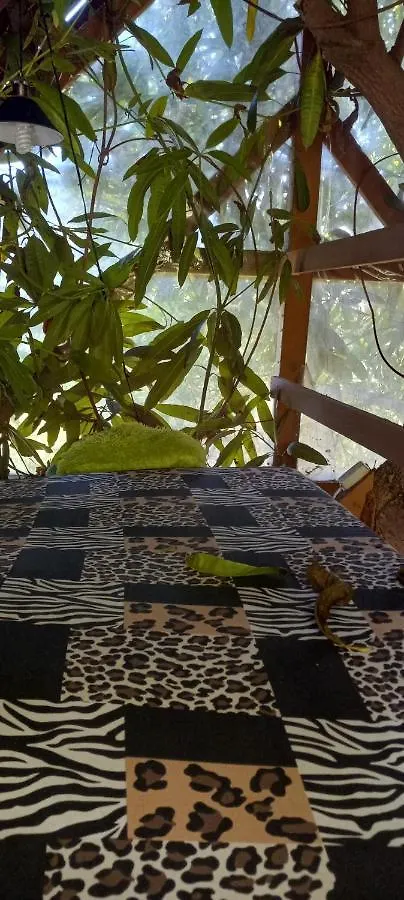 Treehouse Above The Beach Port Antonio Jamaica