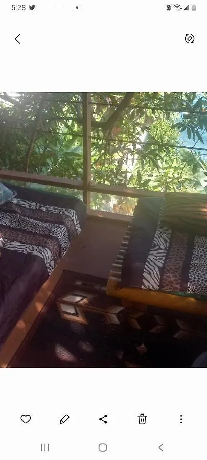 Treehouse Above The Beach Port Antonio 0*,  Jamaica