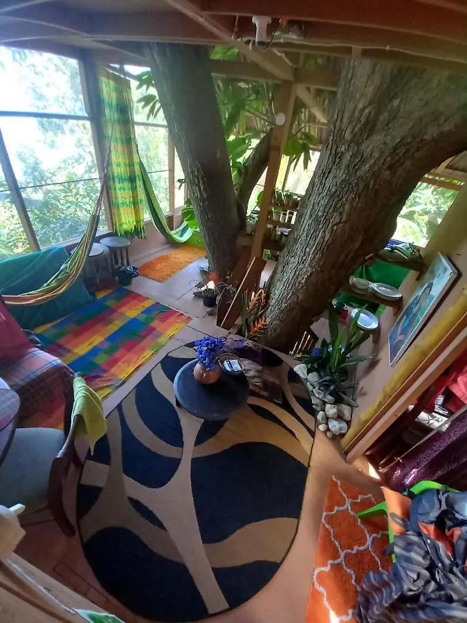 Lejlighed Treehouse Above The Beach Port Antonio