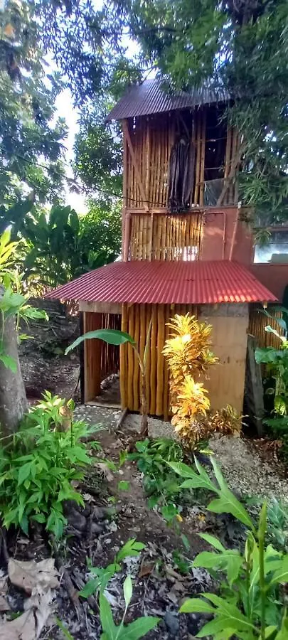 Treehouse Above The Beach Port Antonio 0*,