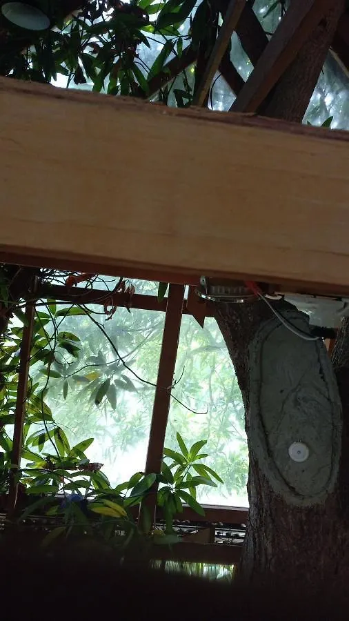 Apartment Treehouse Above The Beach Port Antonio Jamaica