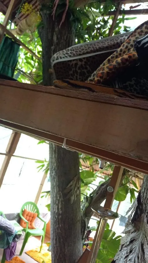 Treehouse Above The Beach Port Antonio