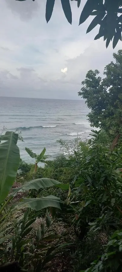 Treehouse Above The Beach Port Antonio