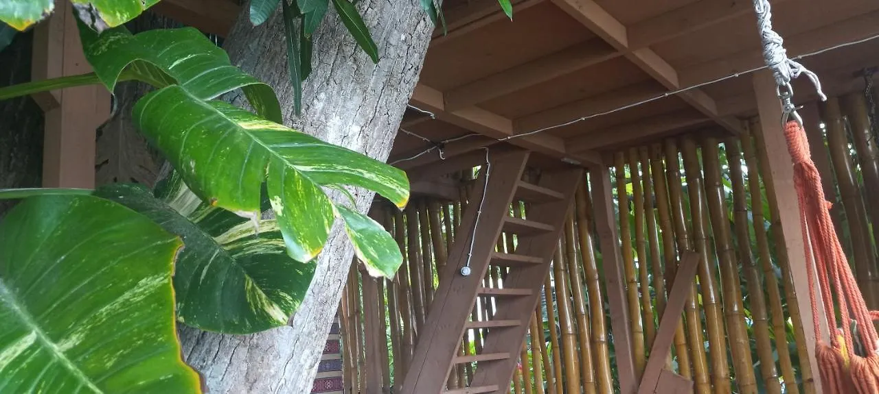 Treehouse Above The Beach Port Antonio Apartment