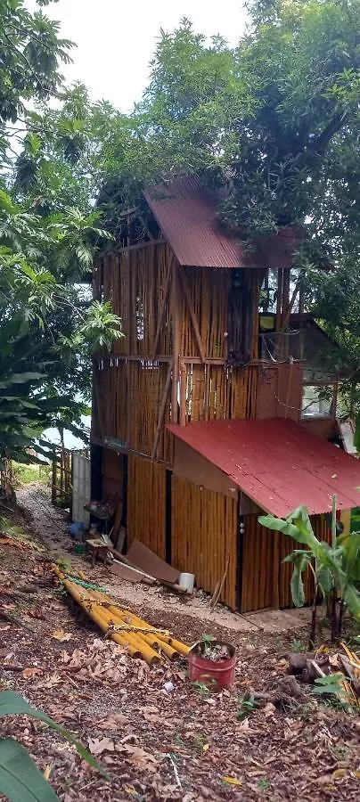 Treehouse Above The Beach Port Antonio 0*,