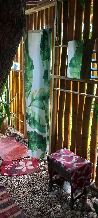 Treehouse Above The Beach Port Antonio