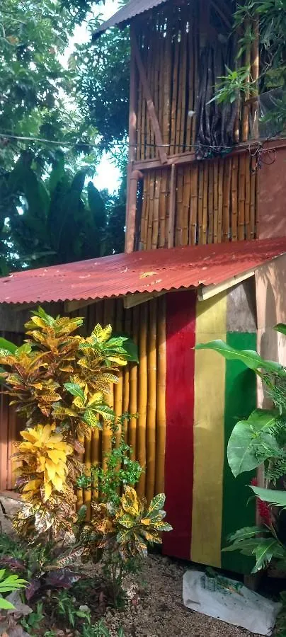 Treehouse Above The Beach Port Antonio Apartment