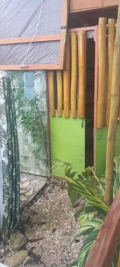 Treehouse Above The Beach Port Antonio Apartment
