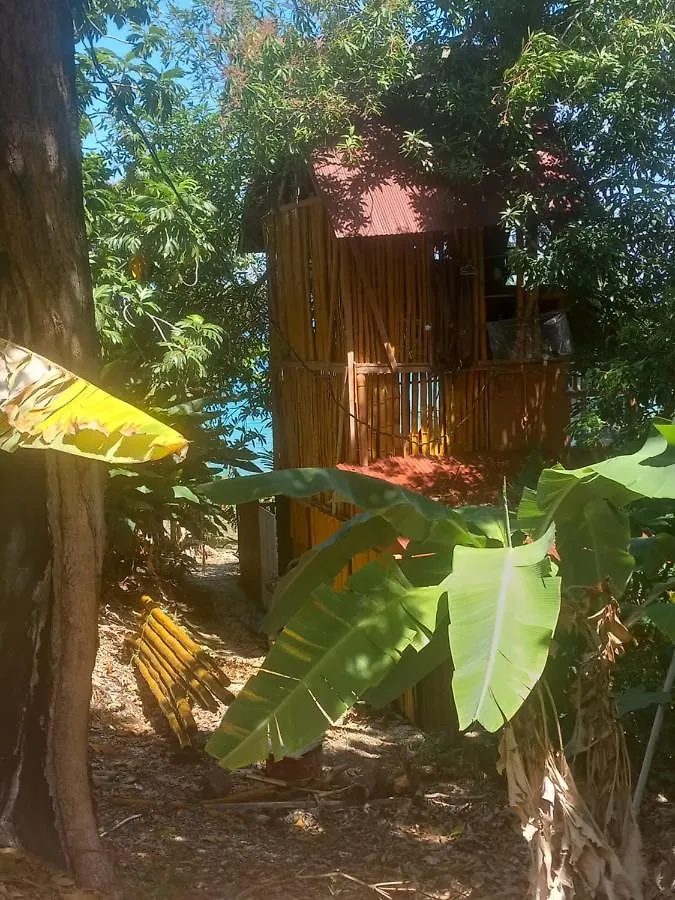 Apartment Treehouse Above The Beach Port Antonio