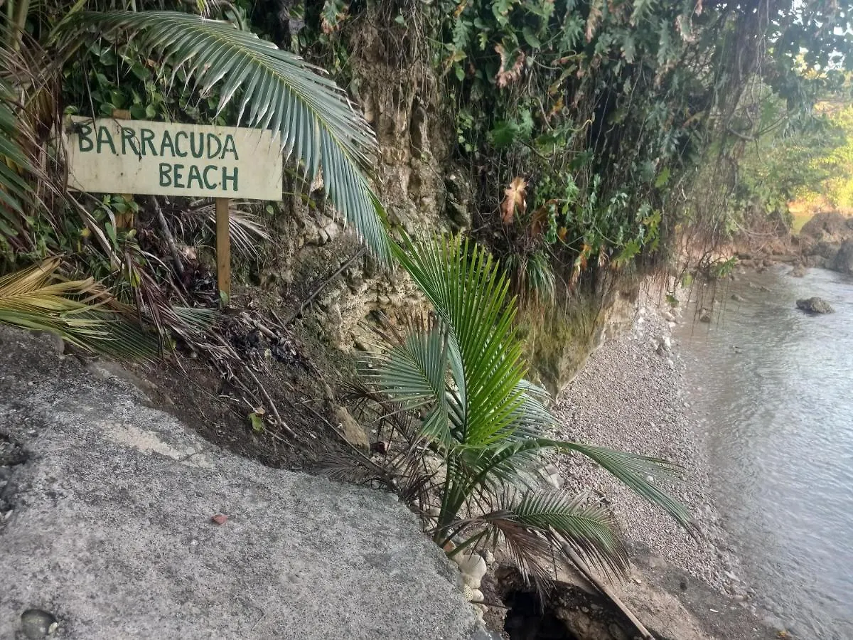 Apartment Treehouse Above The Beach Port Antonio Jamaica