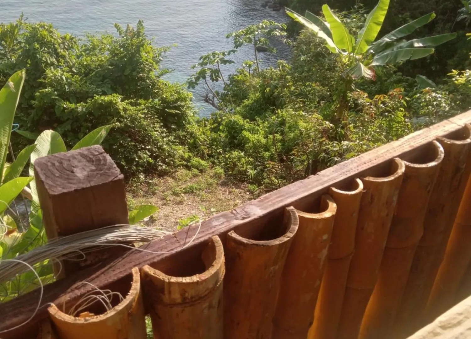 Treehouse Above The Beach Port Antonio Jamajka