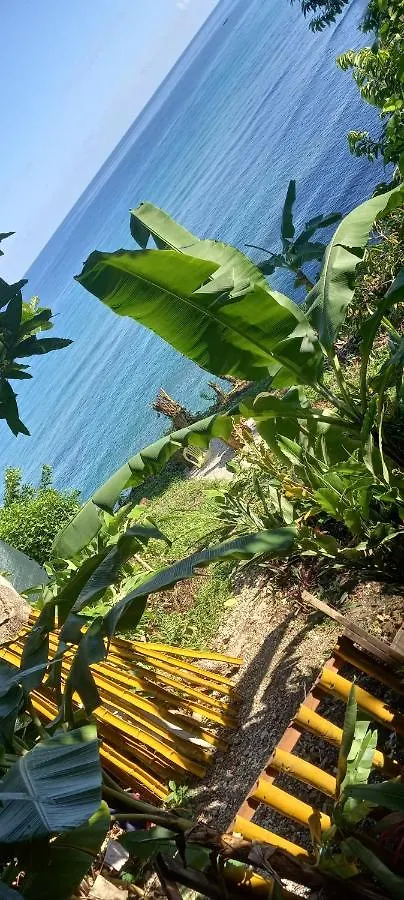 Apartman Treehouse Above The Beach Port Antonio